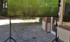 viber_image_2020-07-01_15-36-34